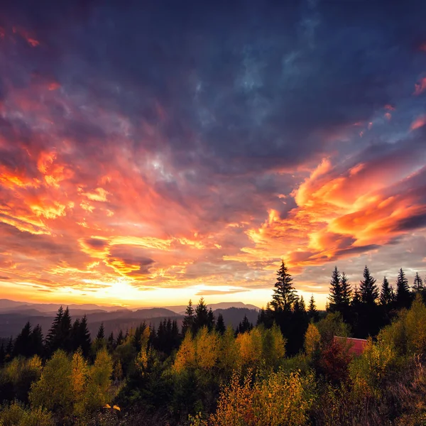 Mountain dramatic sundawn — Stock Photo, Image
