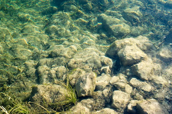 Schönes klares Wasser — Stockfoto