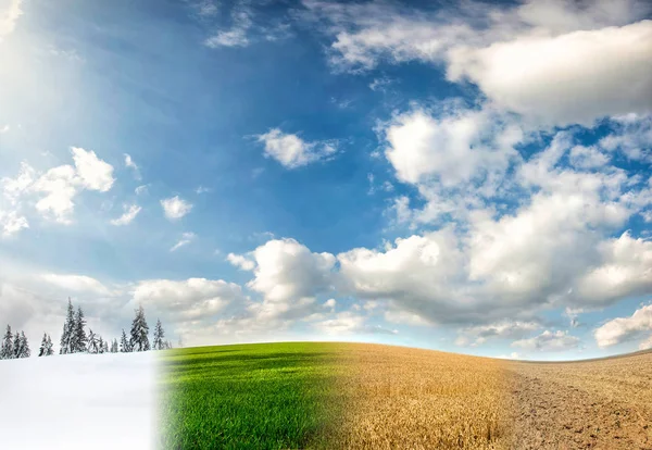 Quattro stagioni dell'anno — Foto Stock