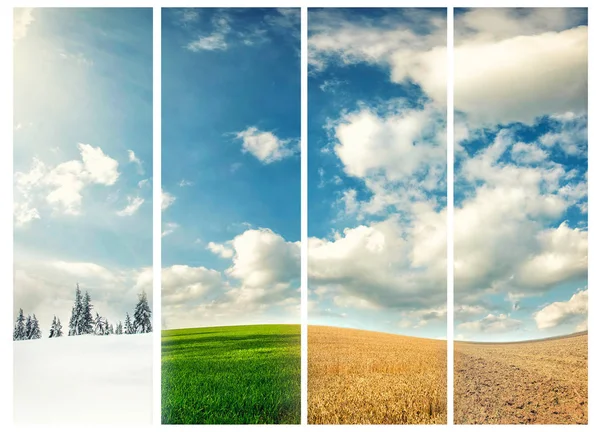 Yılın dört mevsimi