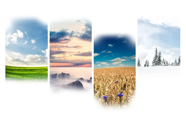 Four seasons background — Stock Photo, Image