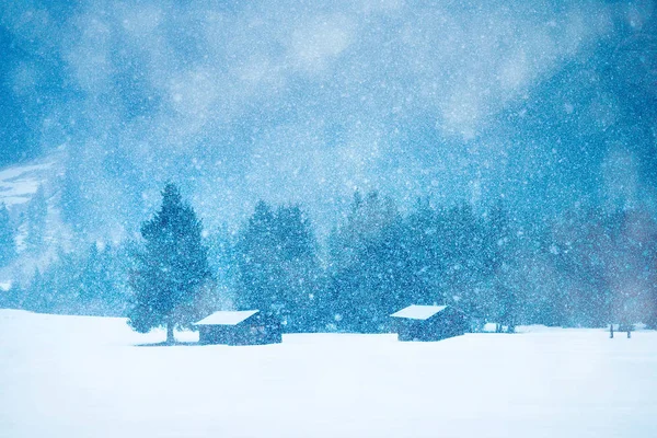 Winter christmas landschap — Stockfoto