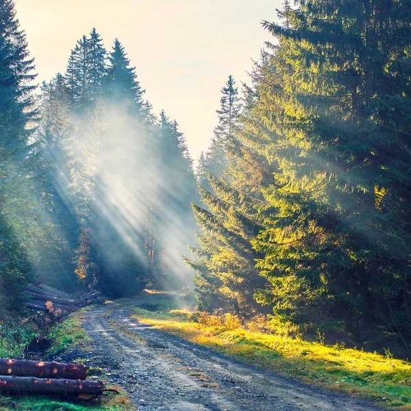 Boş bir yol — Stok fotoğraf