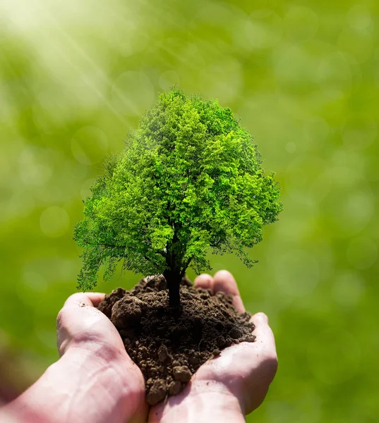 Conceito de natureza — Fotografia de Stock