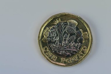 Odak fotoğraf yeni İngiltere Pound madalyonun beyaz bir arka plan üzerinde izole kapatmak