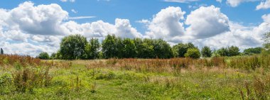 Kamu parki yeşil çim sahası, yeşil ağaç bitki ve bir parti bulutlu mavi gökyüzü ile sahnede güzel park