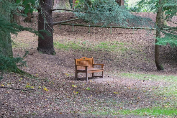 En solitrary trä bänk stol. — Stockfoto