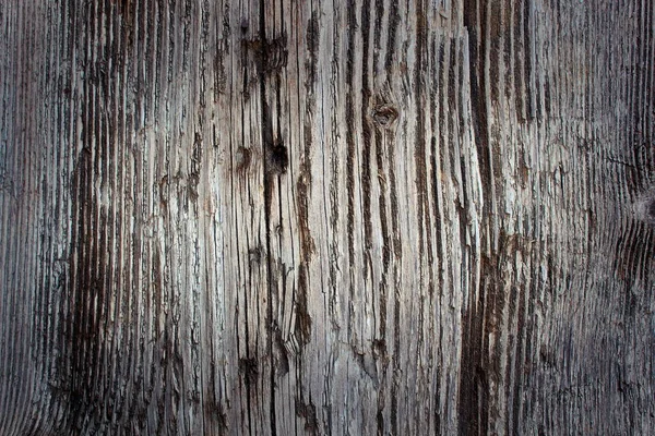 Interesting real spruce textured panel — Stock Photo, Image