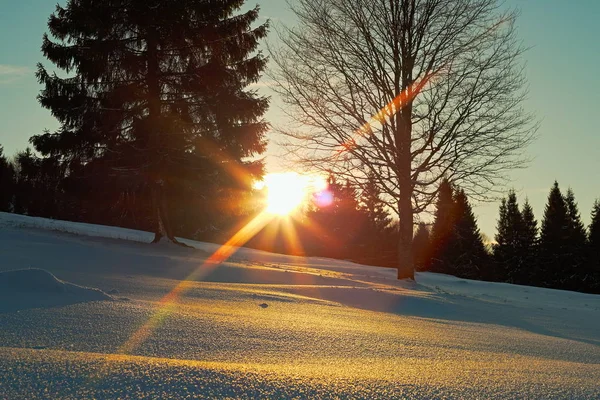 冬の日の夕日 — ストック写真
