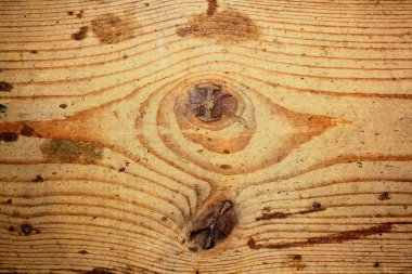 Ladin tahta üzerinde deniz mili