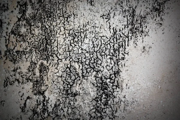 Omítku poškozené plísní na staré zdi — Stock fotografie