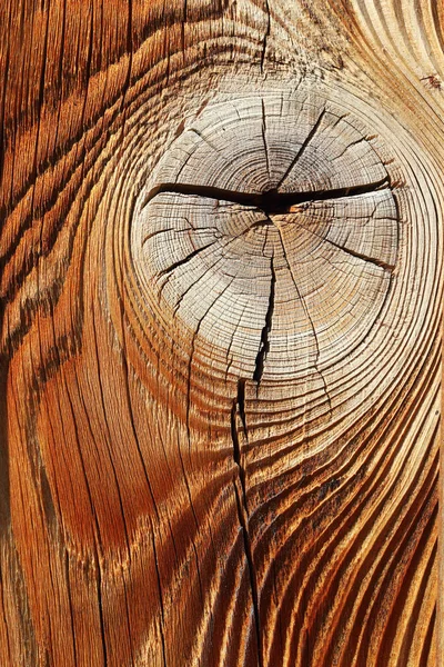 Detail of knotted spruce wooden surface — Stock Photo, Image