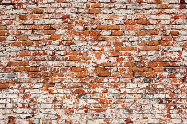 Detalhe de parede de tijolo textural real danificado — Fotografia de Stock