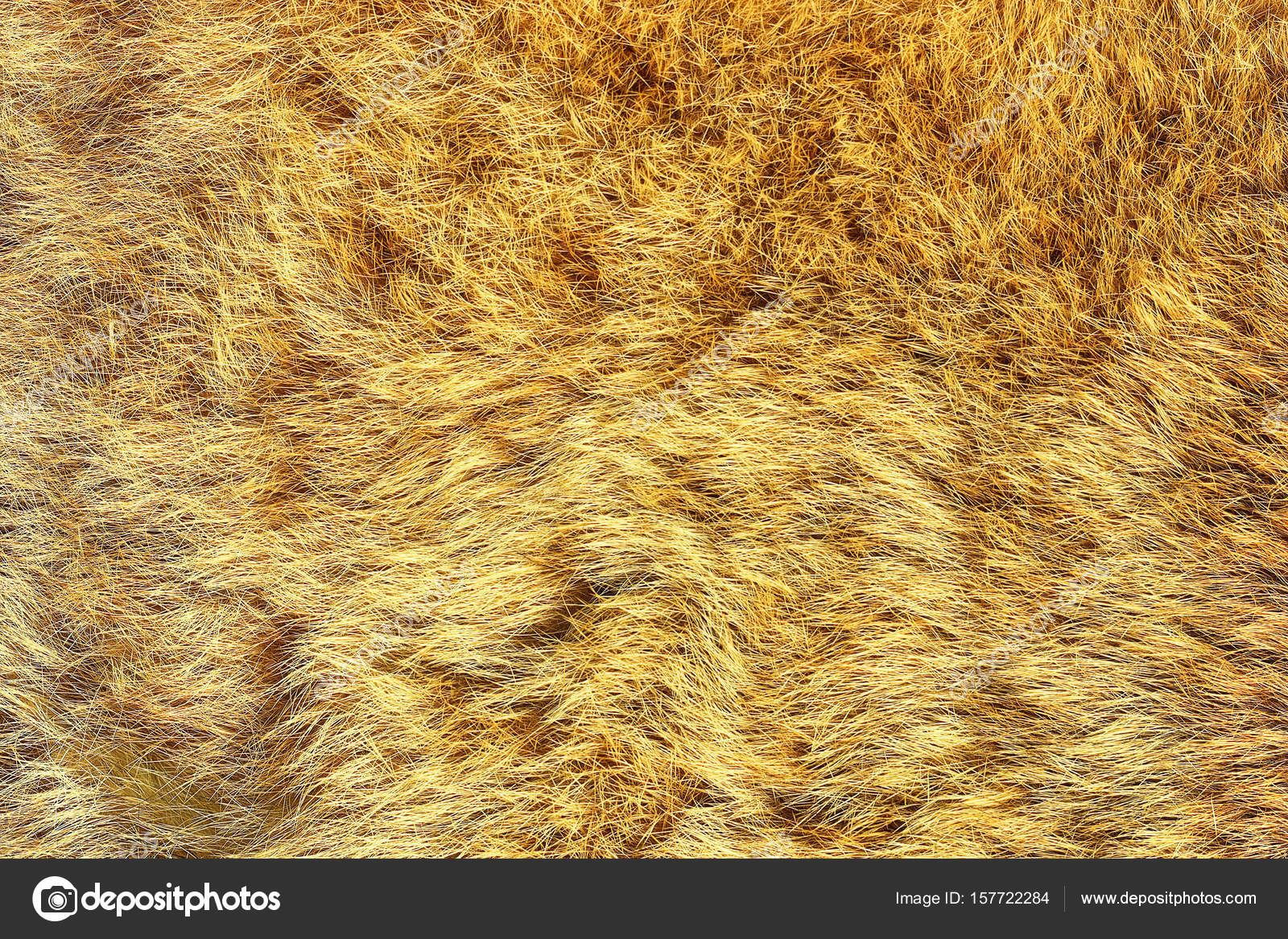 european lynx real pelt — Stock Photo © taviphoto #157722284 for Lynx Pelt
287fsj european lynx real pelt — Stock Photo © taviphoto #157722284 for Lynx Pelt
287fsj