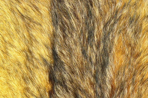 Detail of eurasian lynx leather — Stock Photo, Image