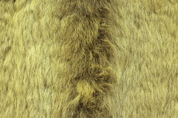Avrupa lynx dokulu kürk — Stok fotoğraf