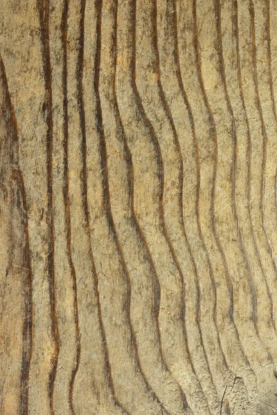 Textuur van Spar plank — Stockfoto