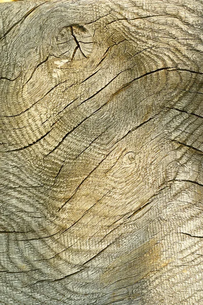 Texture of wooden plank for your design — Stock Photo, Image