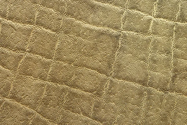 Szczegół teksturowanej pelt słonia afrykańskiego — Zdjęcie stockowe
