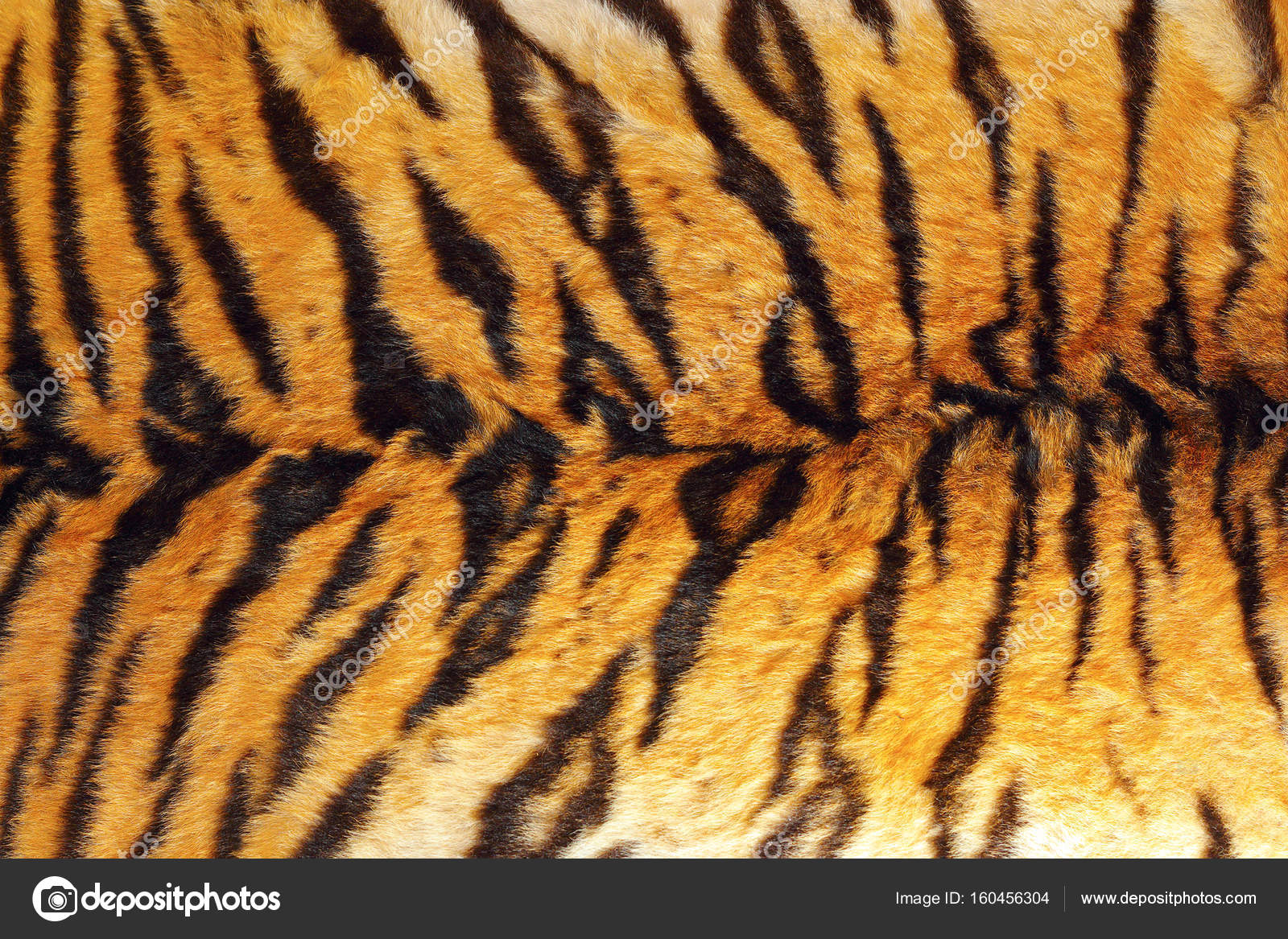 Яйцо тигровой шкуры Фото