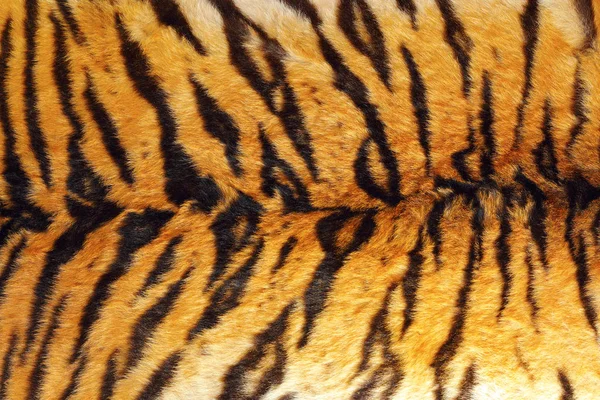 Detail of tiger stripes on leather — Stock Photo, Image