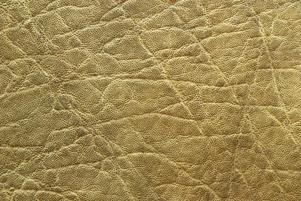 Detailed elephant pelt texture — Stock Photo, Image