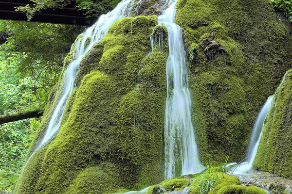 Bela cascata na rocha musgosa — Fotografia de Stock