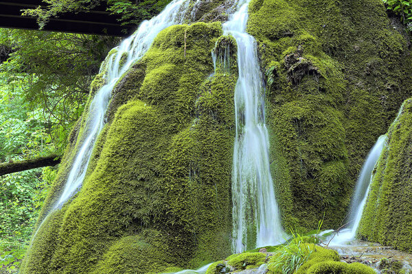 beautiful cascade on mossy rock