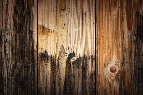 Detailed spruce plank — Stock Photo, Image