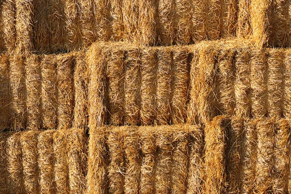 Ayrıntı haystacks, dokusal görüntü yığını — Stok fotoğraf