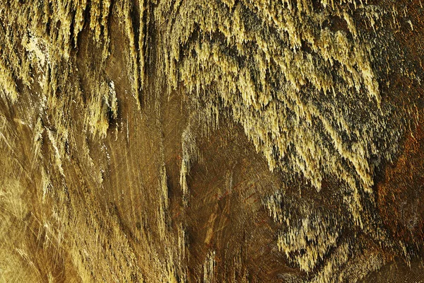 Stalactites sur le mur de sel dans le mien — Photo