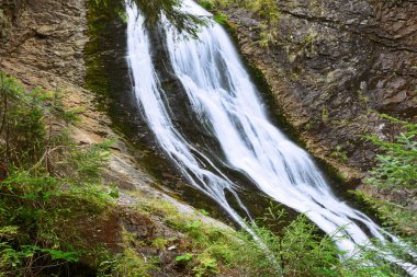 Gelin şelalesinin ayrıntıları, Rachitele, Apuseni Dağı