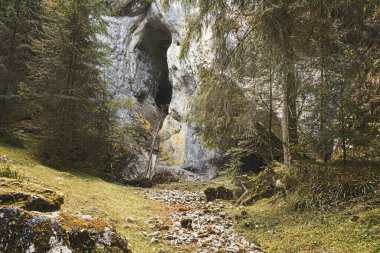 Humpleu mağarası Valea Firii, Apuseni dağları, Romanya