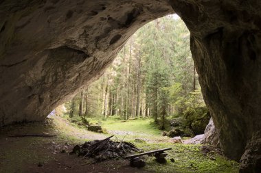Manzara Valea Firii mağarası, Apuseni Doğal Parkı, Romanya