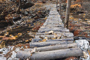 Romanya 'nın Nerei geçidinde, doğal patikada tahta köprü