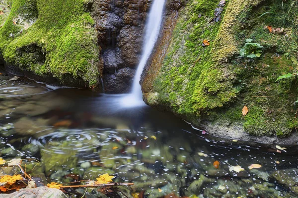 Krásný Susara Vodopád Podzimní Sezóně Anina Hory Rumunsko — Stock fotografie