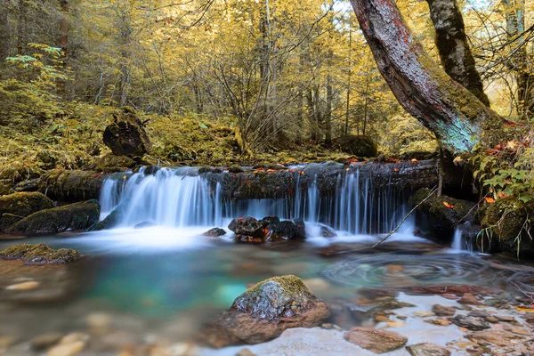 Крупный План Красивого Водопада Осенью Фотография Сделана Недалеко Рахителе Румыния — стоковое фото
