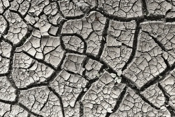 cracked soil surface after drought, image taken in middle summer
