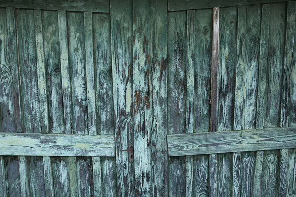 green painted old wooden door surface, wood texture ready for your design