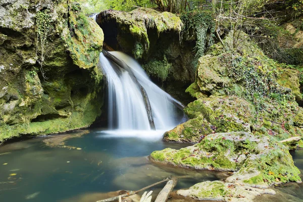 Крупный План Водопада Вайоага Национальный Парк Беусница Румыния — стоковое фото