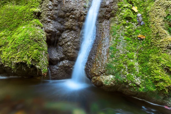 Detailní Záběr Vodopádu Susára Podzimní Sezóně Caransebes Rumunsko — Stock fotografie