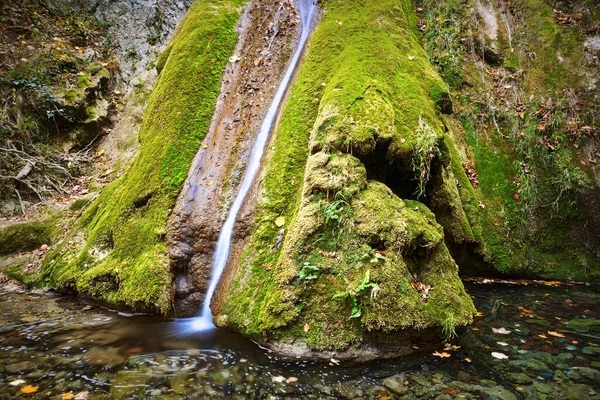 Susara Красивый Водопад Осенью Anina Moutains — стоковое фото
