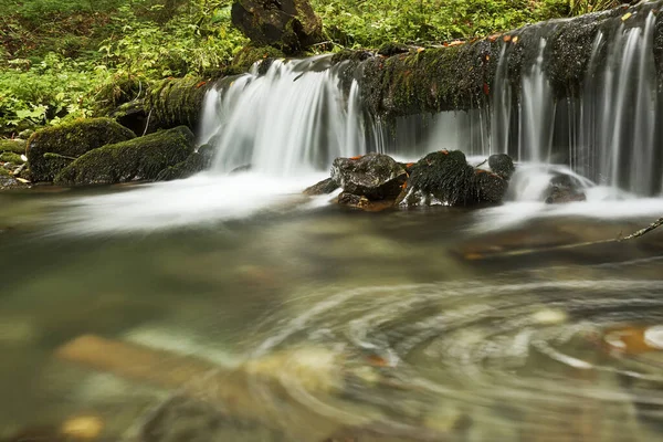 Vodopád Horském Potoce Národní Park Apuseni Rumunsko — Stock fotografie