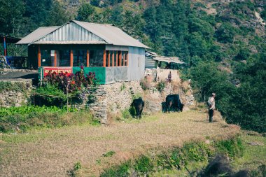 Bir lodge Annapurna Base Camp Trek, Nepal