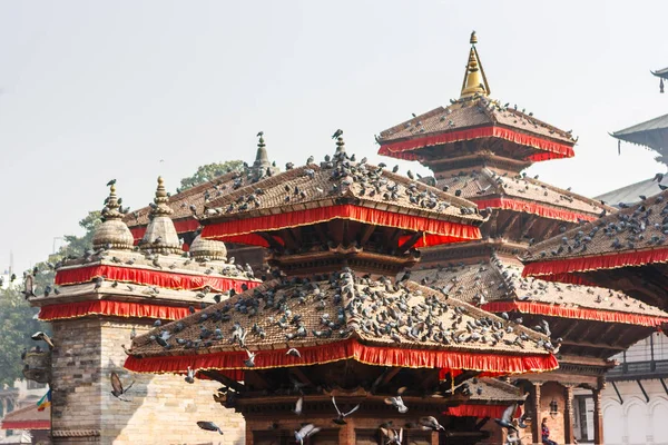 Tempels van Kathmandu Durbar square, Nepal, bedekt met duiven Stockafbeelding