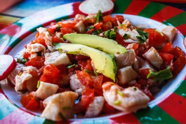 Ceviche bir fincan domates ve avokado, Chiapas, Meksika.