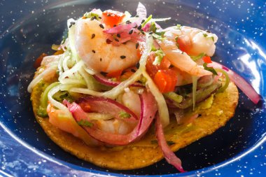 Balık ve karides, Puerto Morelos, Quintana Roo, Meksika Taco.