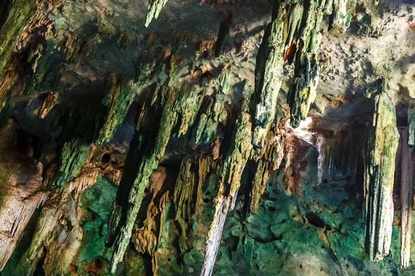 Stalactites Mixed Roots Cuzama Cenote Yucatan Mexico — Stock Photo, Image