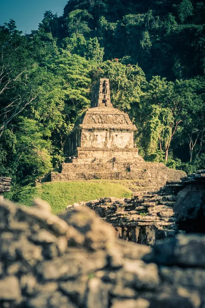 Ingedeeld Kleurenafbeelding Van Ruïnes Bij Archeologische Site Van Palenque Chiapas — Stockfoto