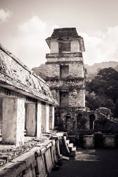 Zwart Wit Beeld Van Ruïnes Archeologische Site Van Palenque Chiapas — Stockfoto